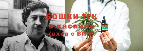 гашик Нягань