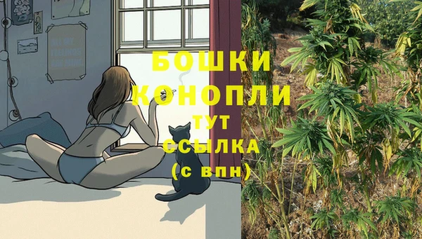 гашик Нягань