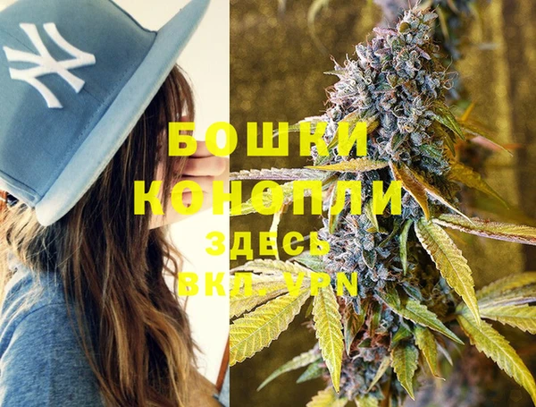 гашик Нягань
