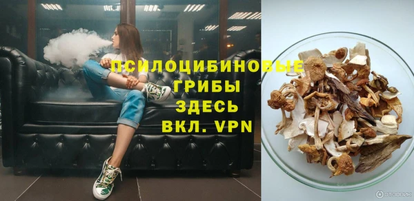 ALPHA-PVP Няндома
