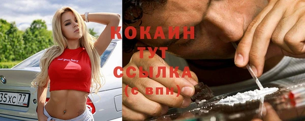 винт Новозыбков