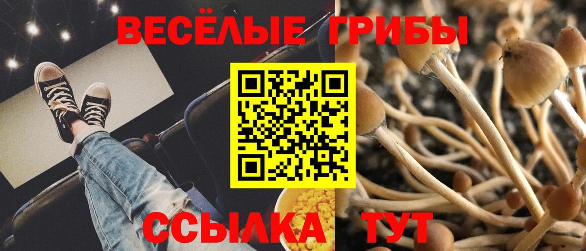 Лениногорск  Псилоцибиновые грибы ЛСД  Вход с VPN 