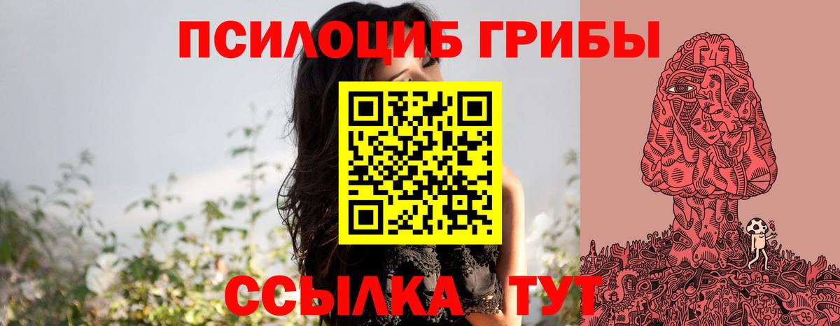 Псилоцибиновые грибы Cubensis Лениногорск